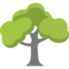 Columbia Tree Removal Service